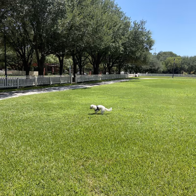 Griggs Park Off-Leash Area